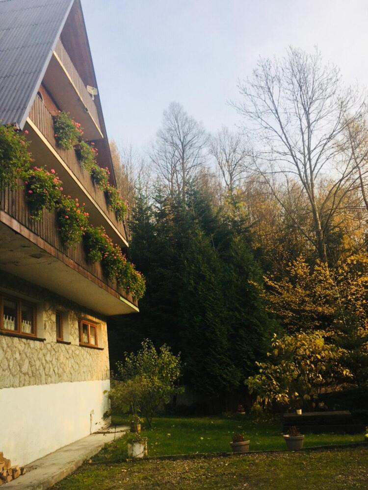 Photo 100
