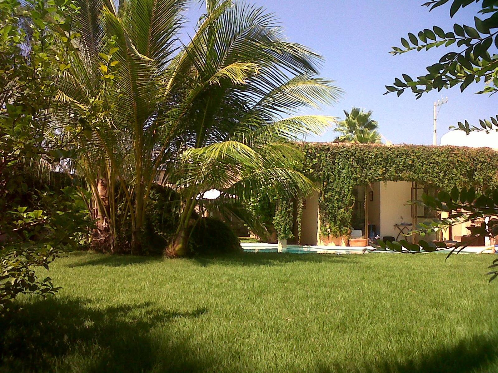 Photo 28
