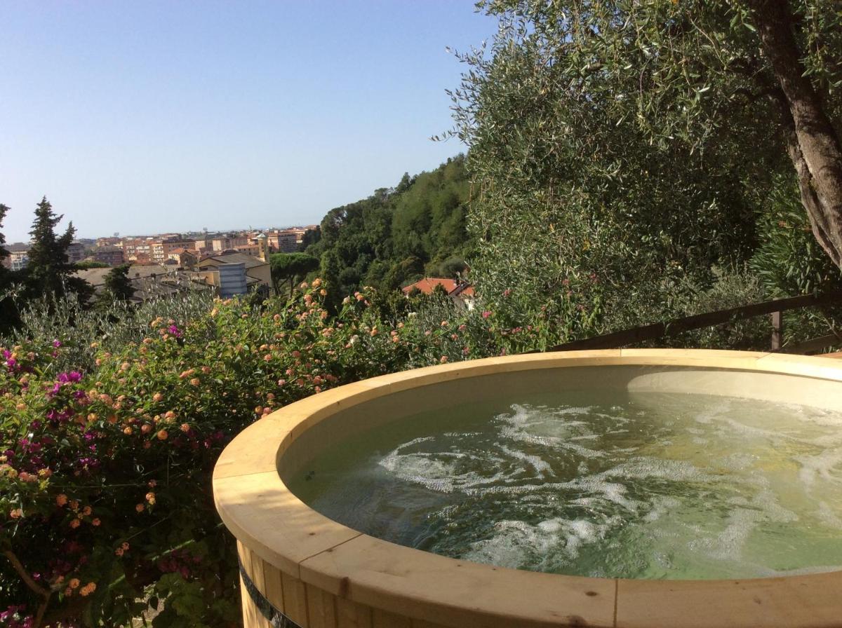 Olive Press Lodge view 2
