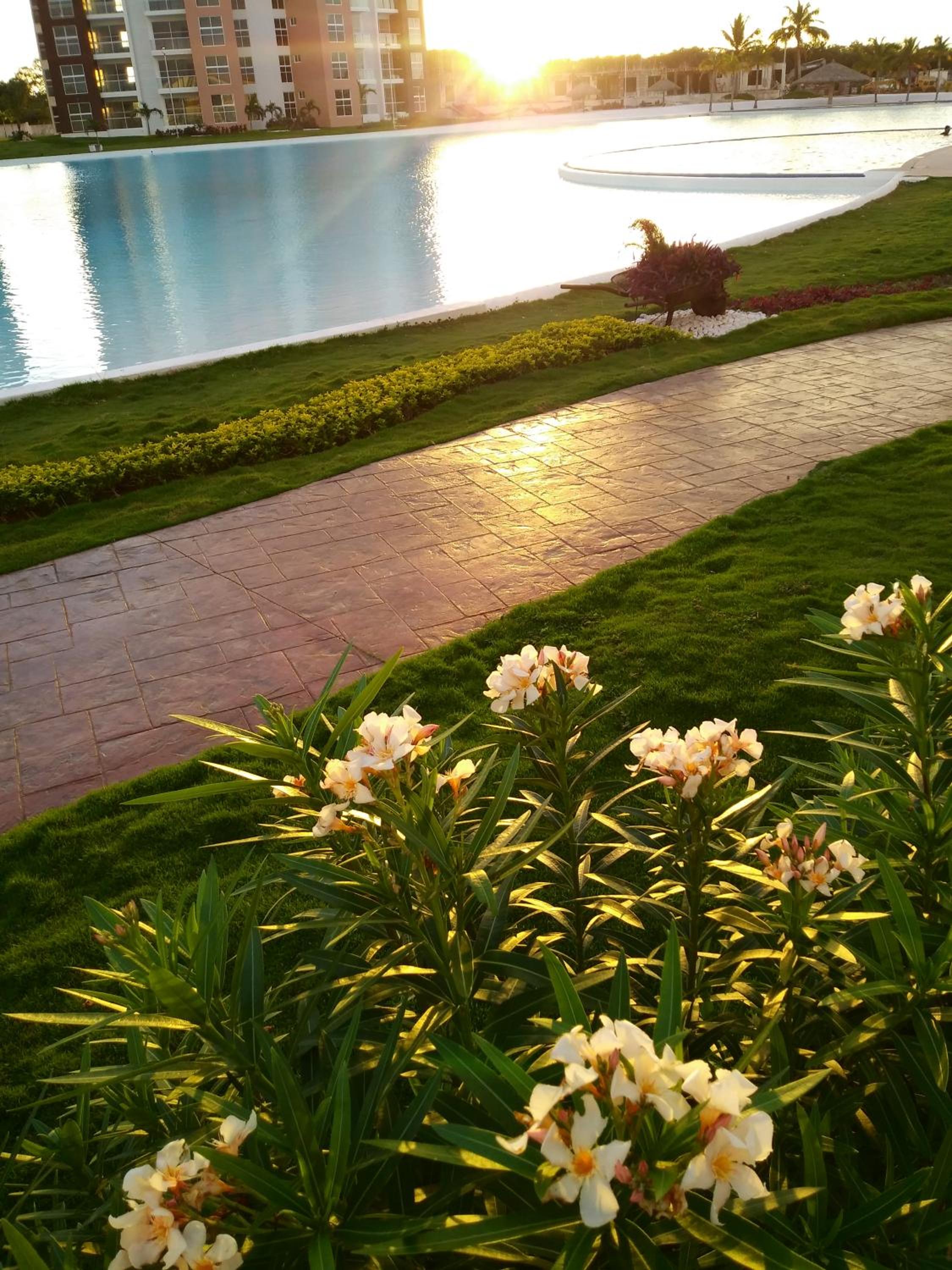 Dreams Lagoon
