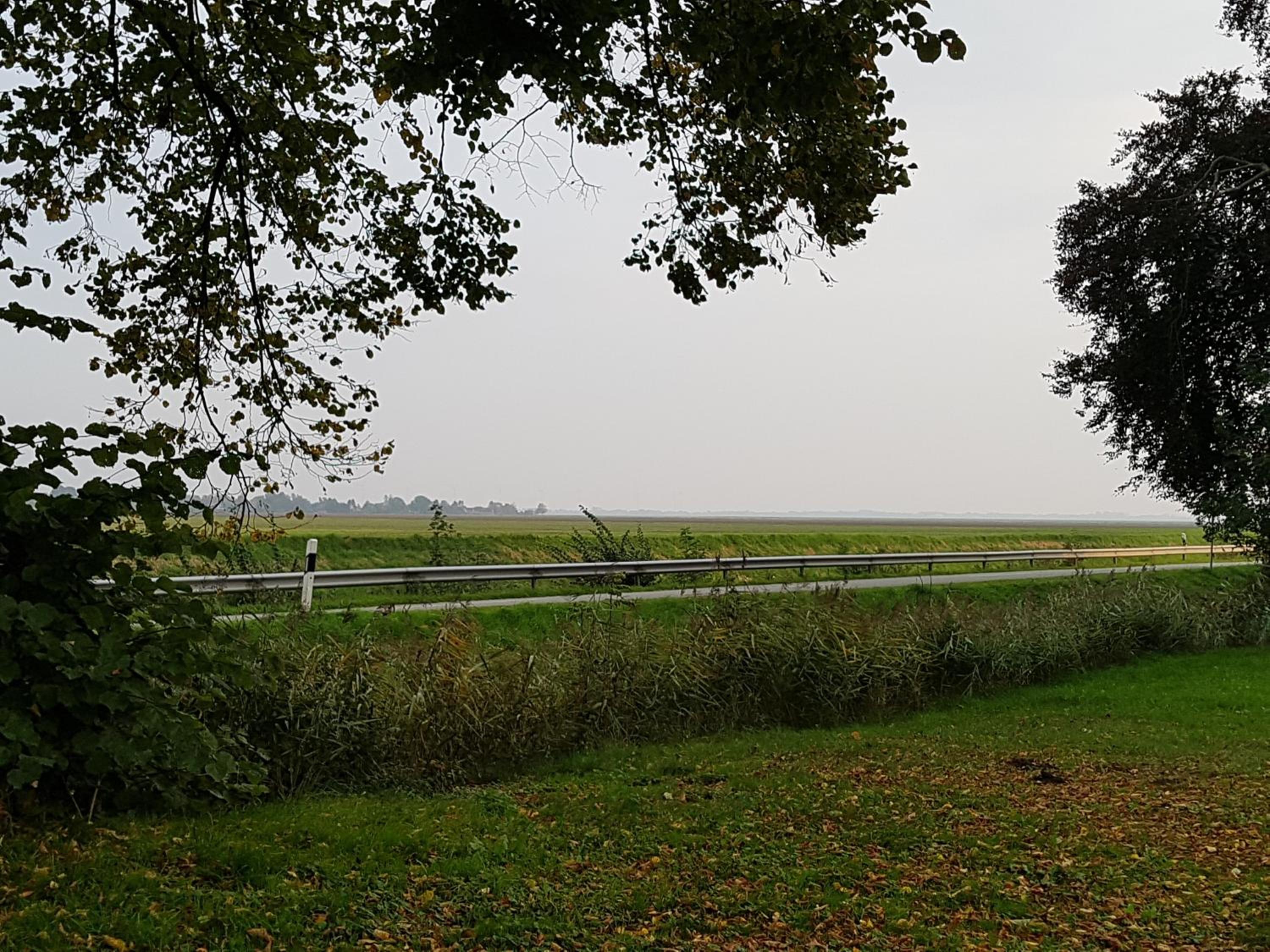 Johannes Hof