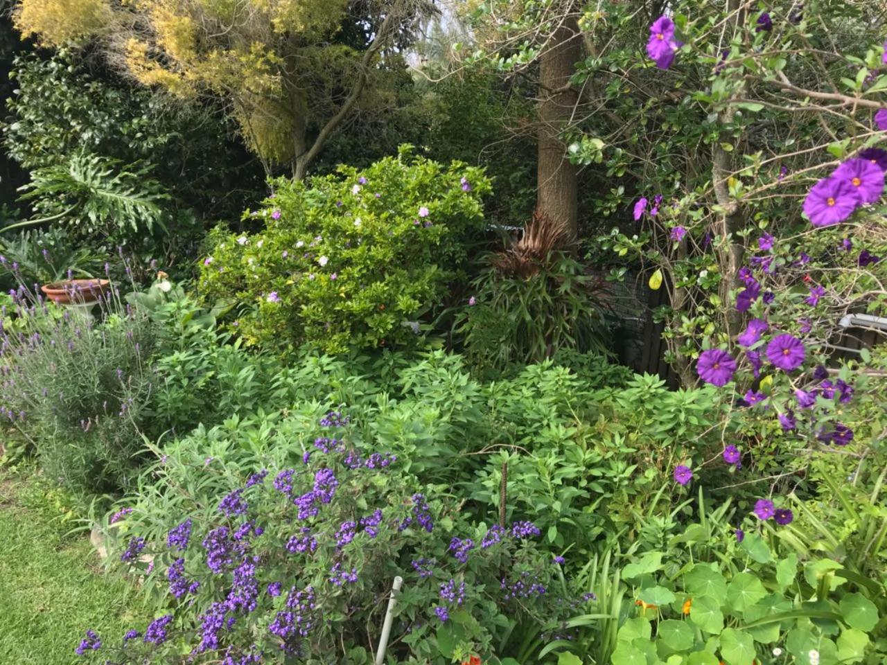 Valley Heights Guest House and B & B