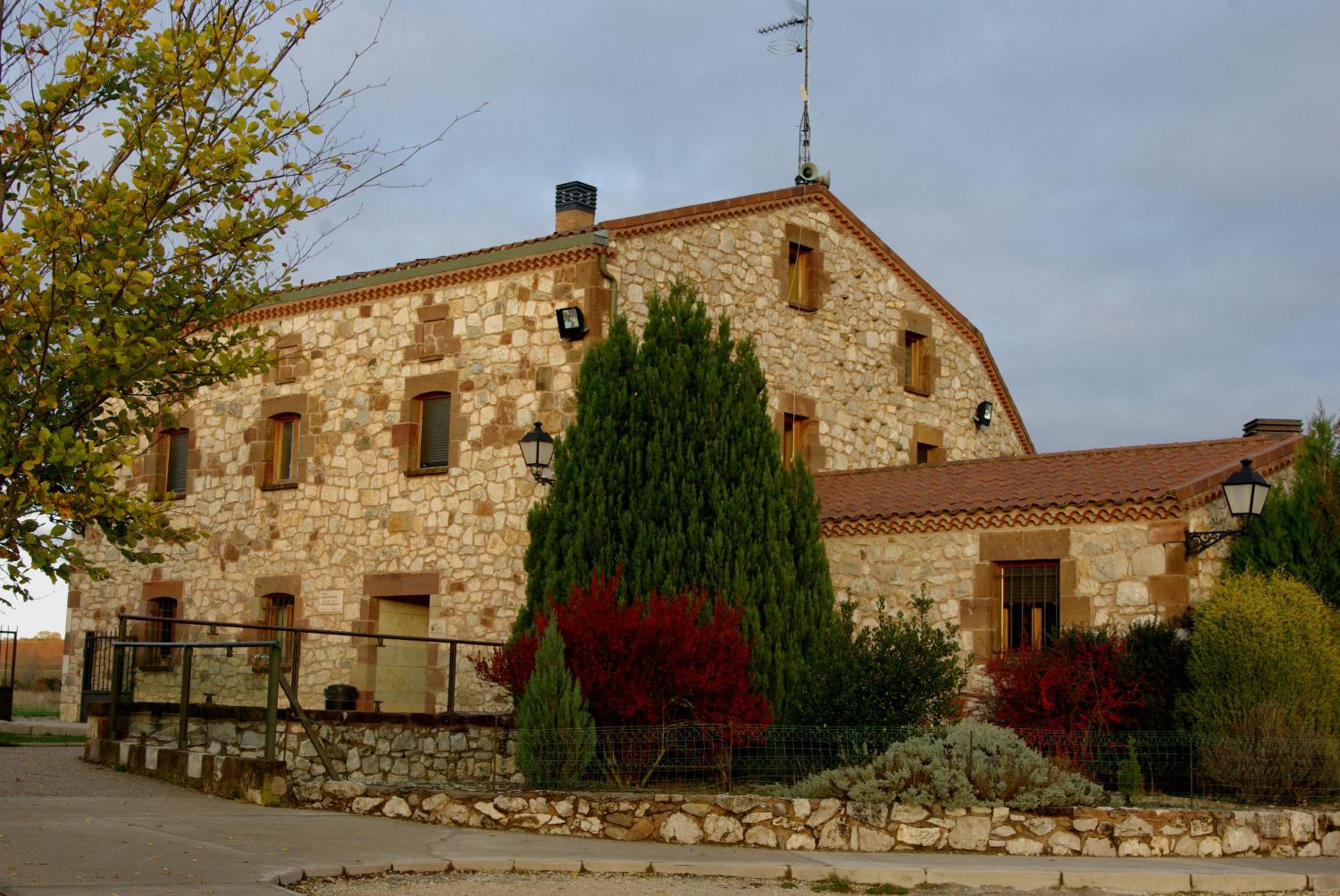 Photo 19
