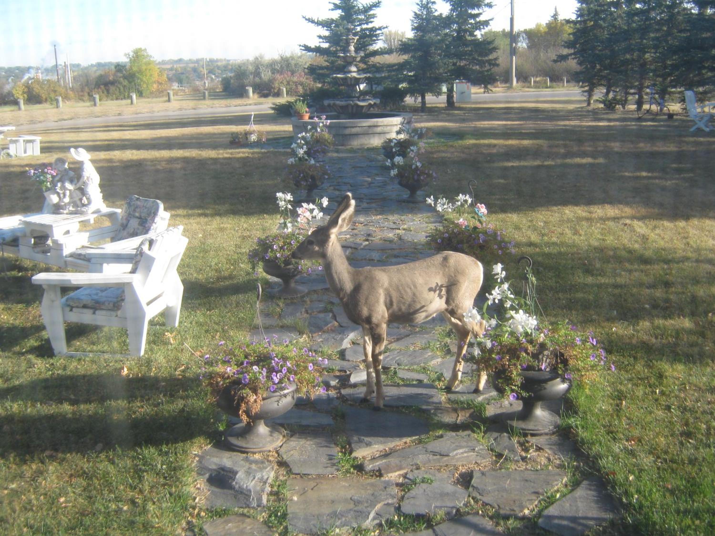 Photo 30