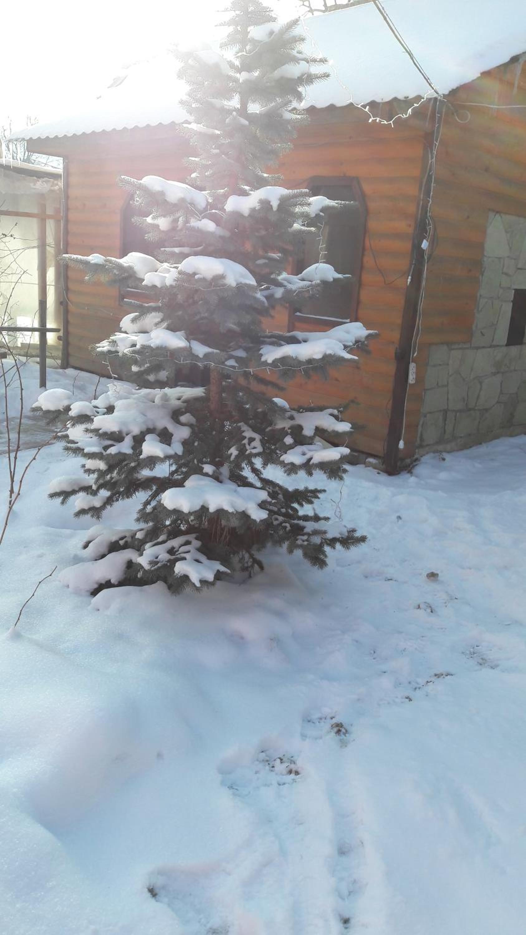 Photo 42