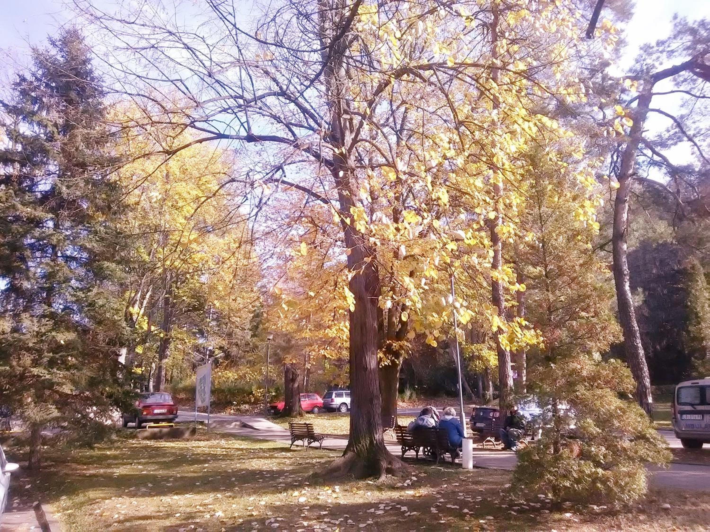 Photo 29