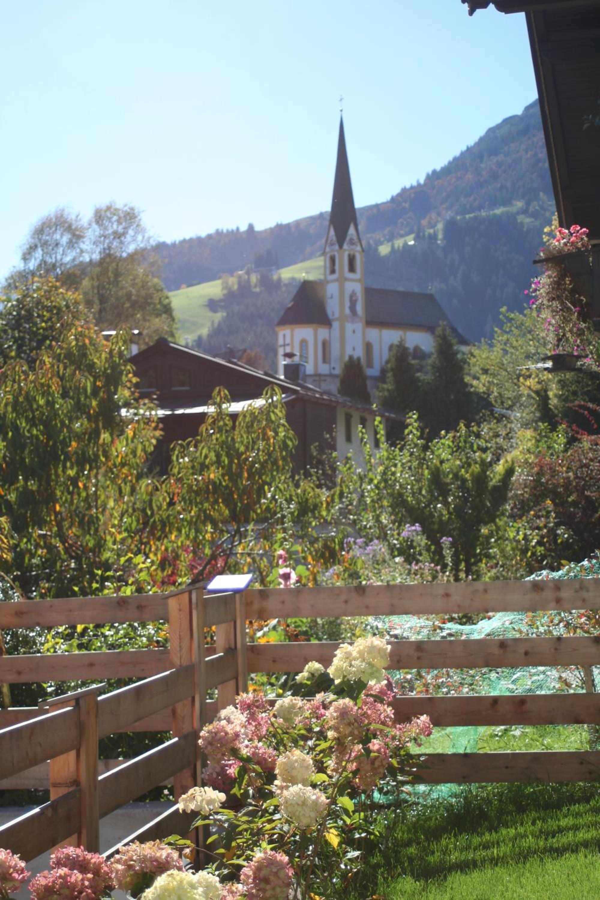 Photo 43