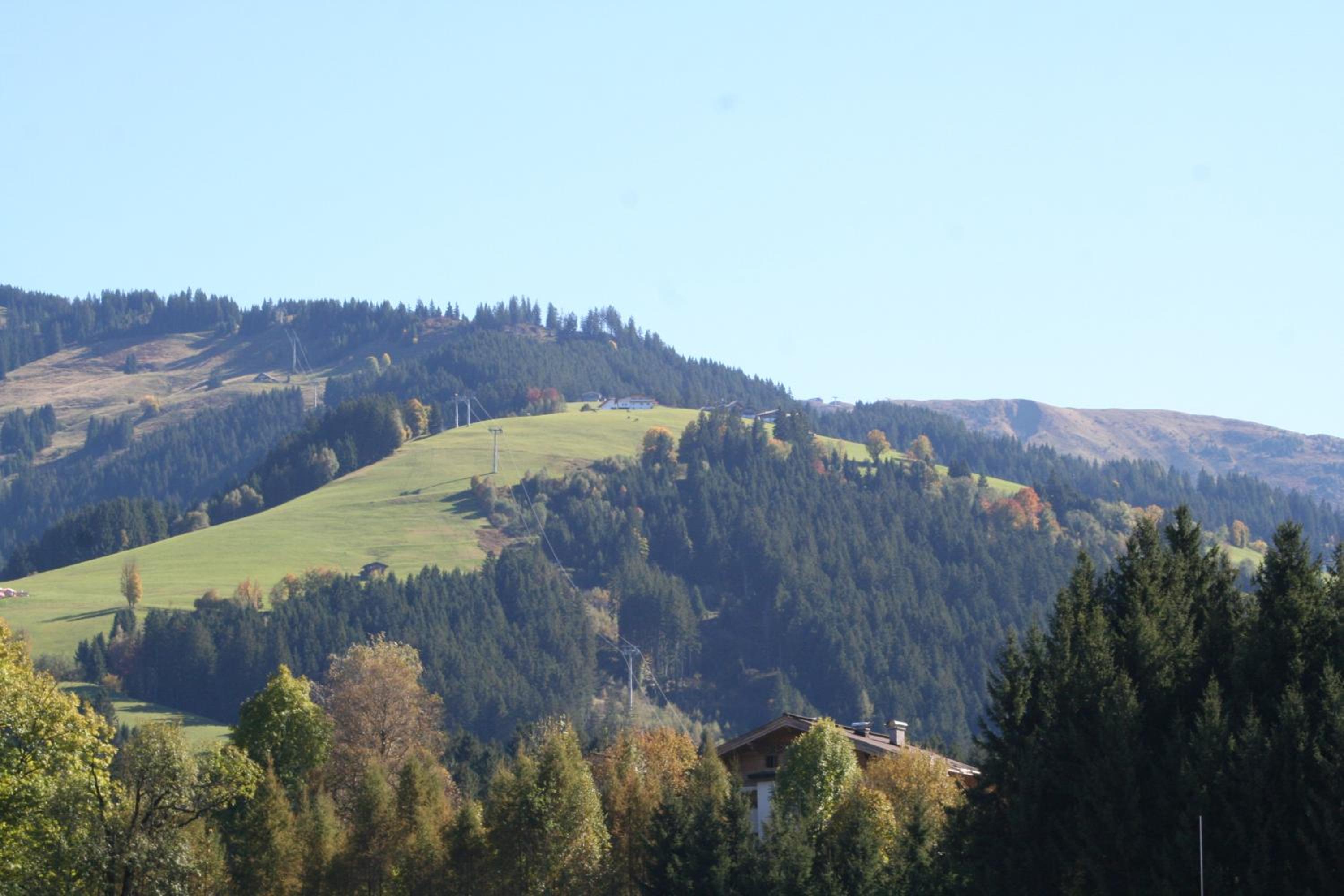 Photo 46