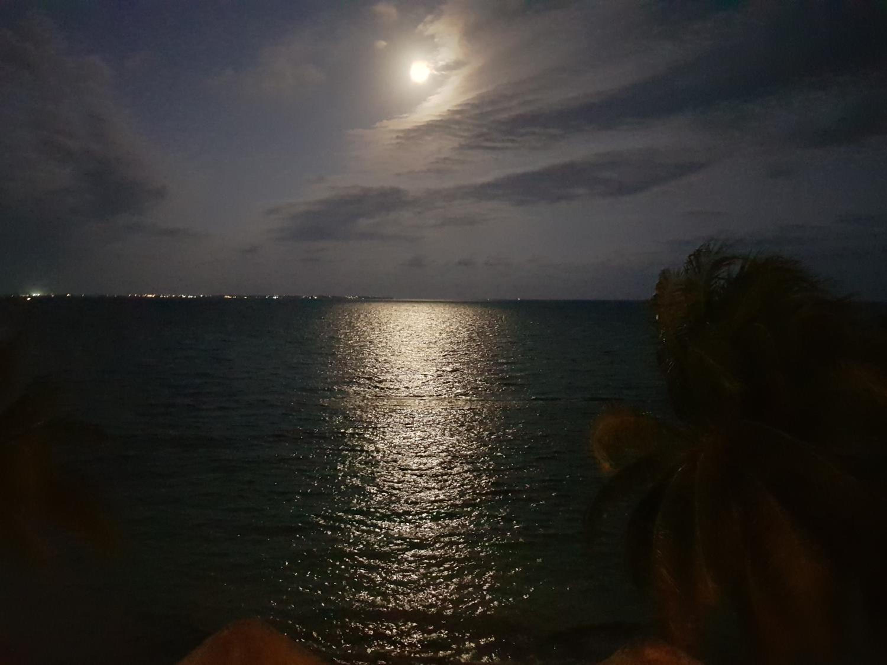 Suite frente al Mar