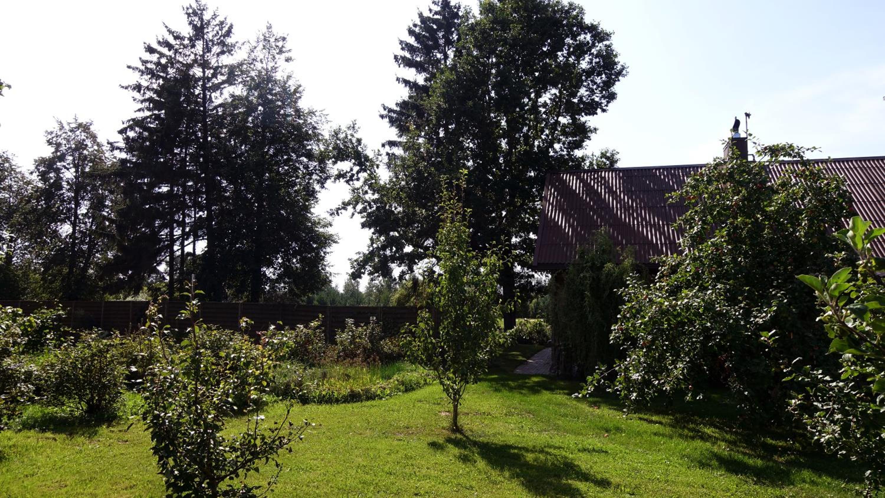 Raudonkalnis view 2