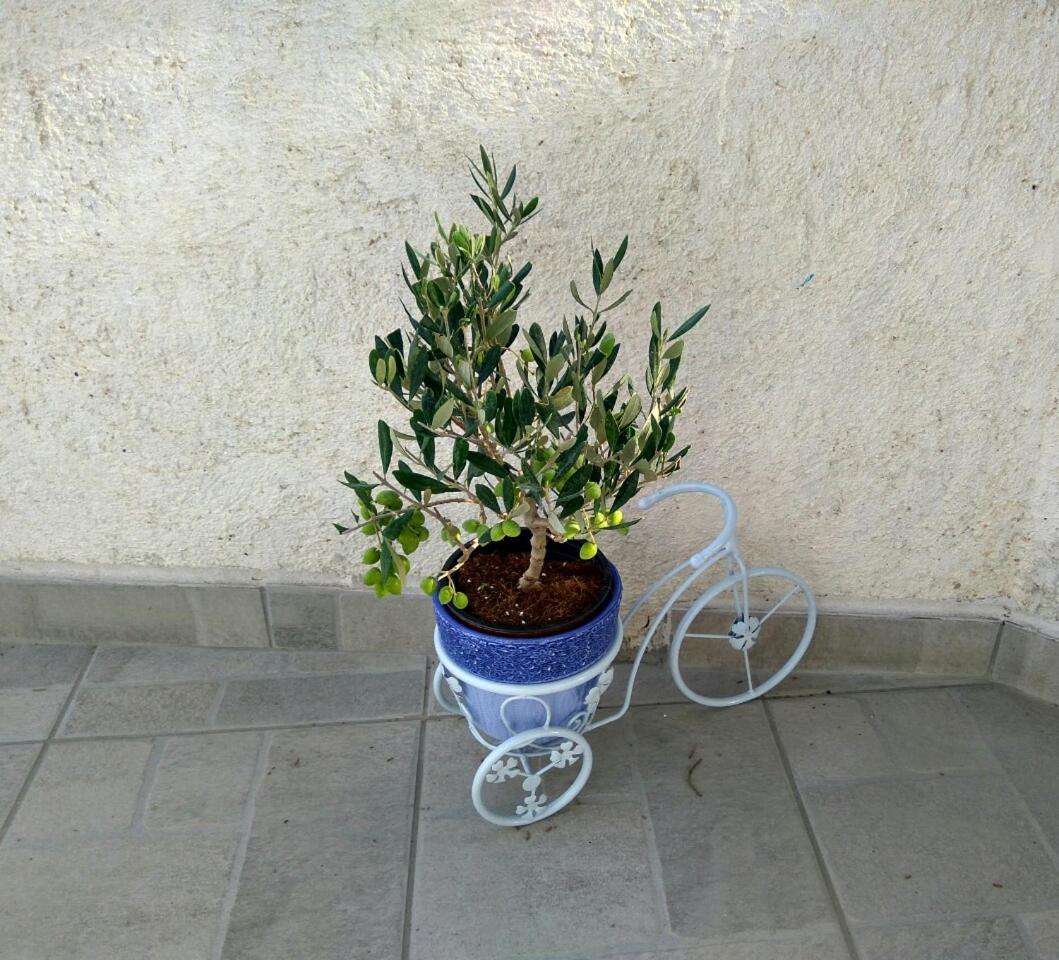 Photo 21