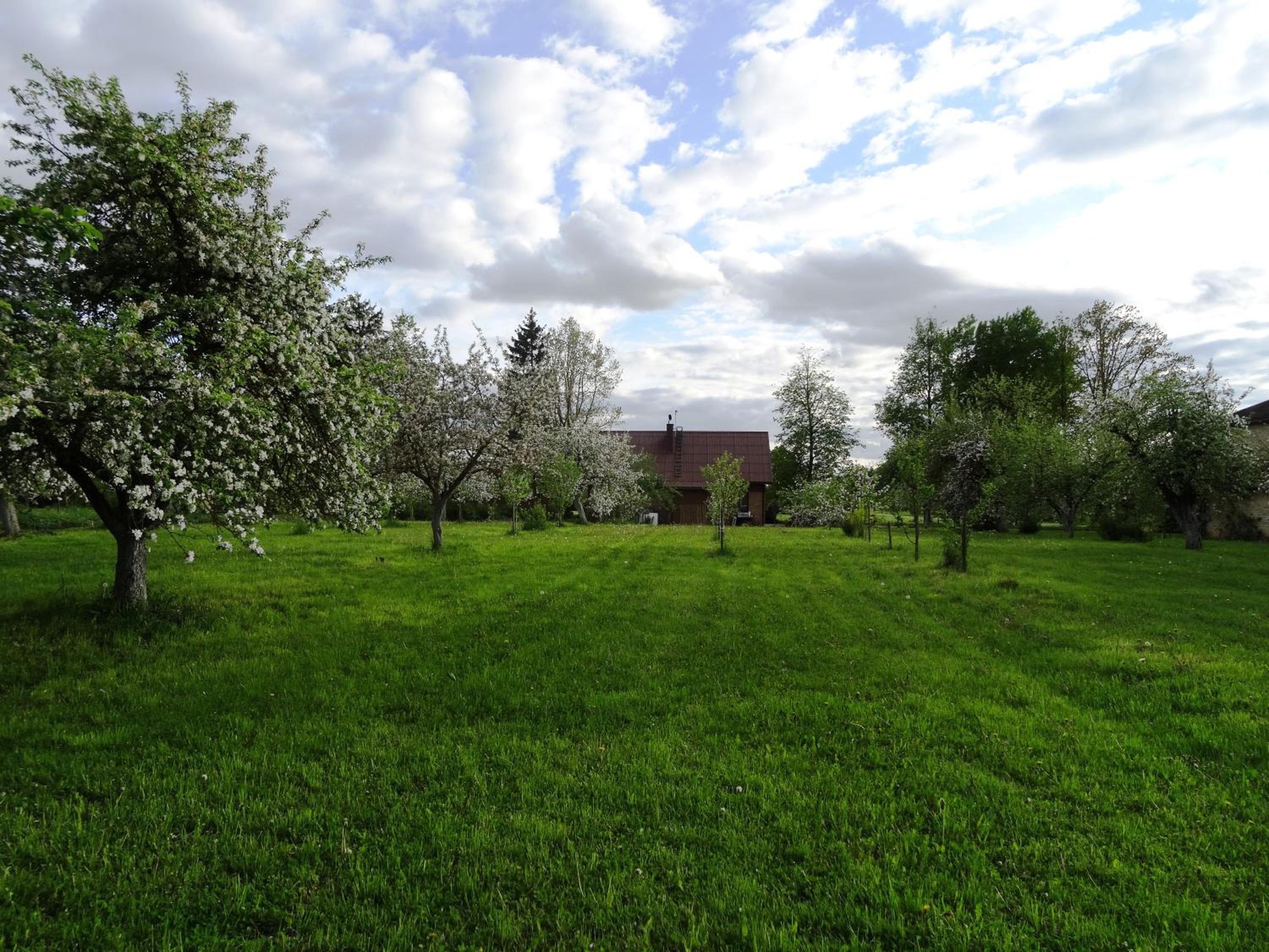 Photo 32