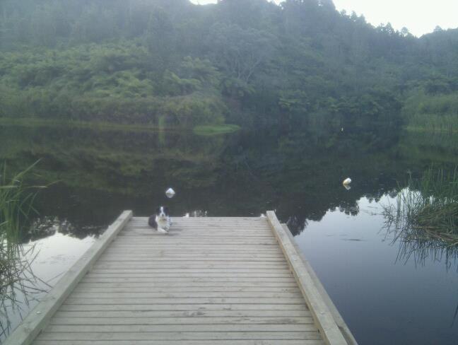 Photo 16