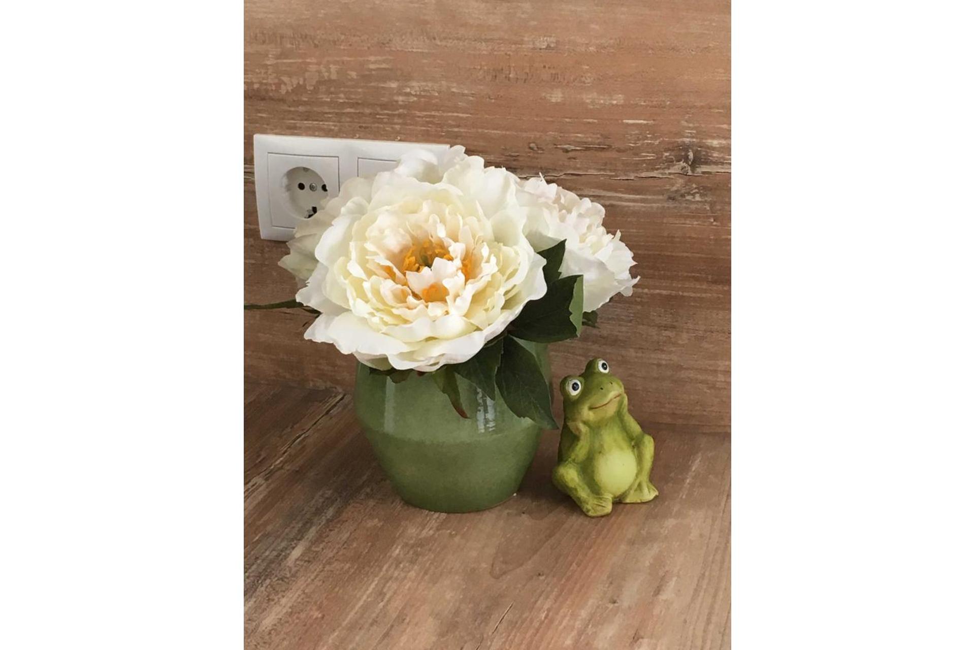 Froschkoje