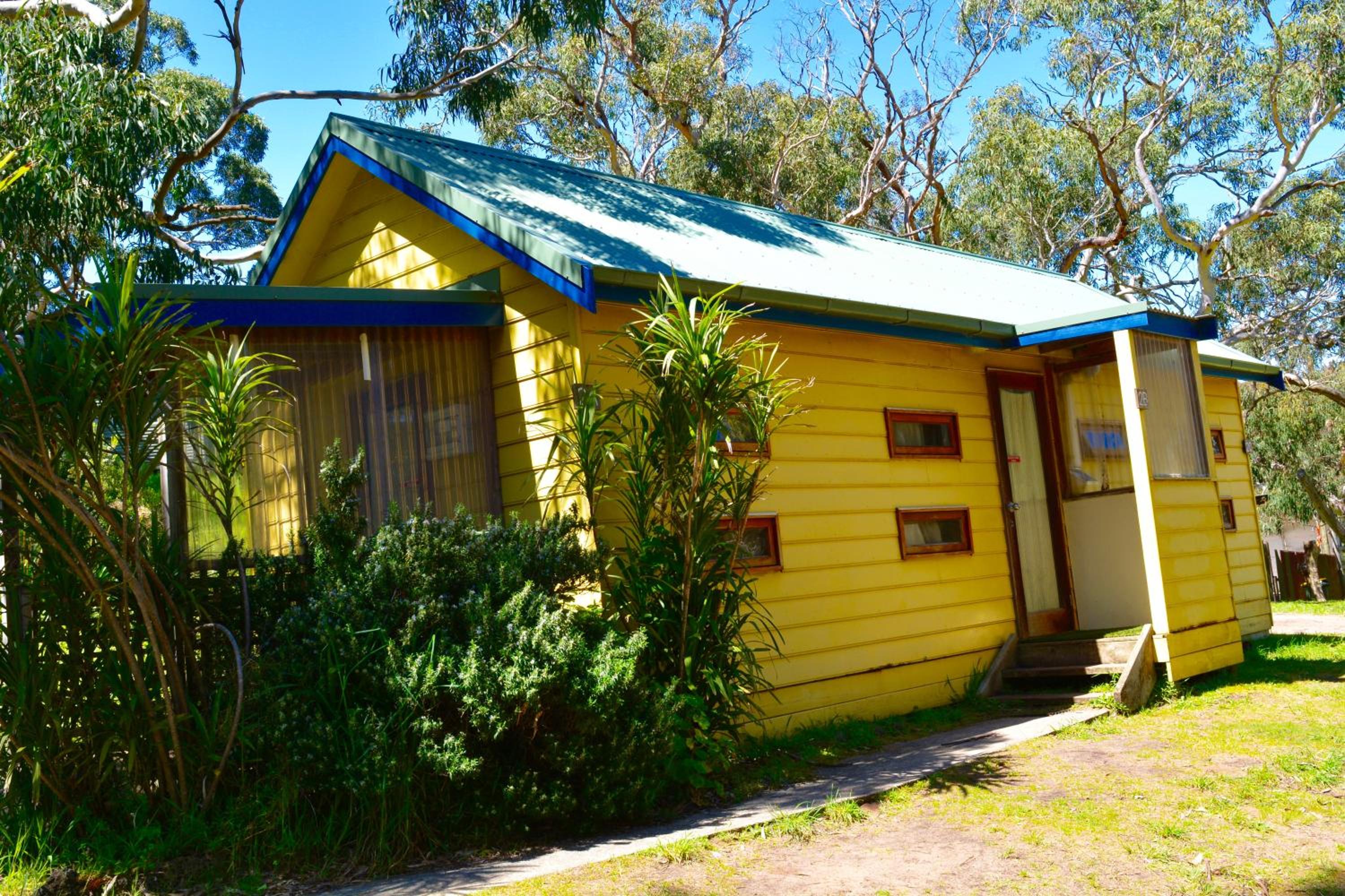 Bimbi Park - Camping Under Koalas