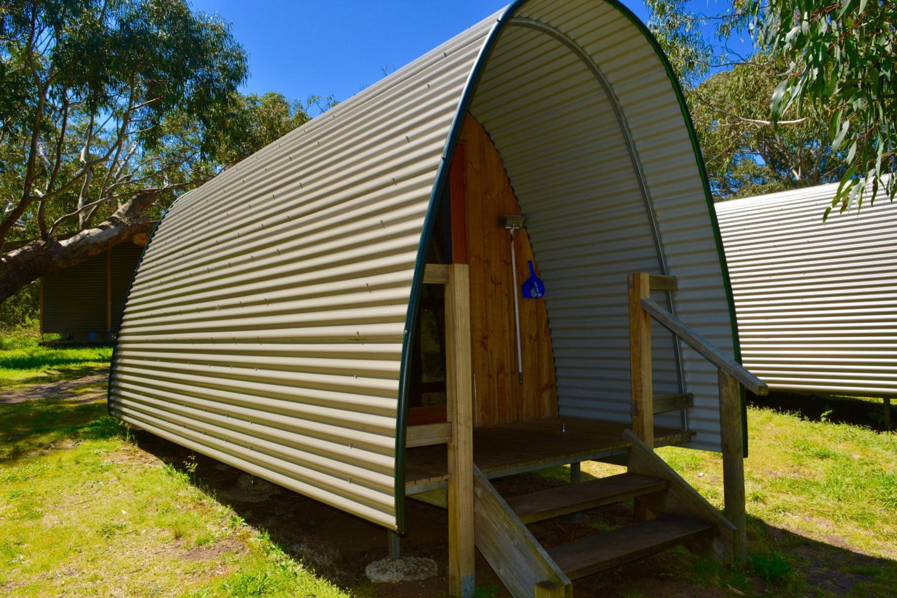 Bimbi Park - Camping Under Koalas