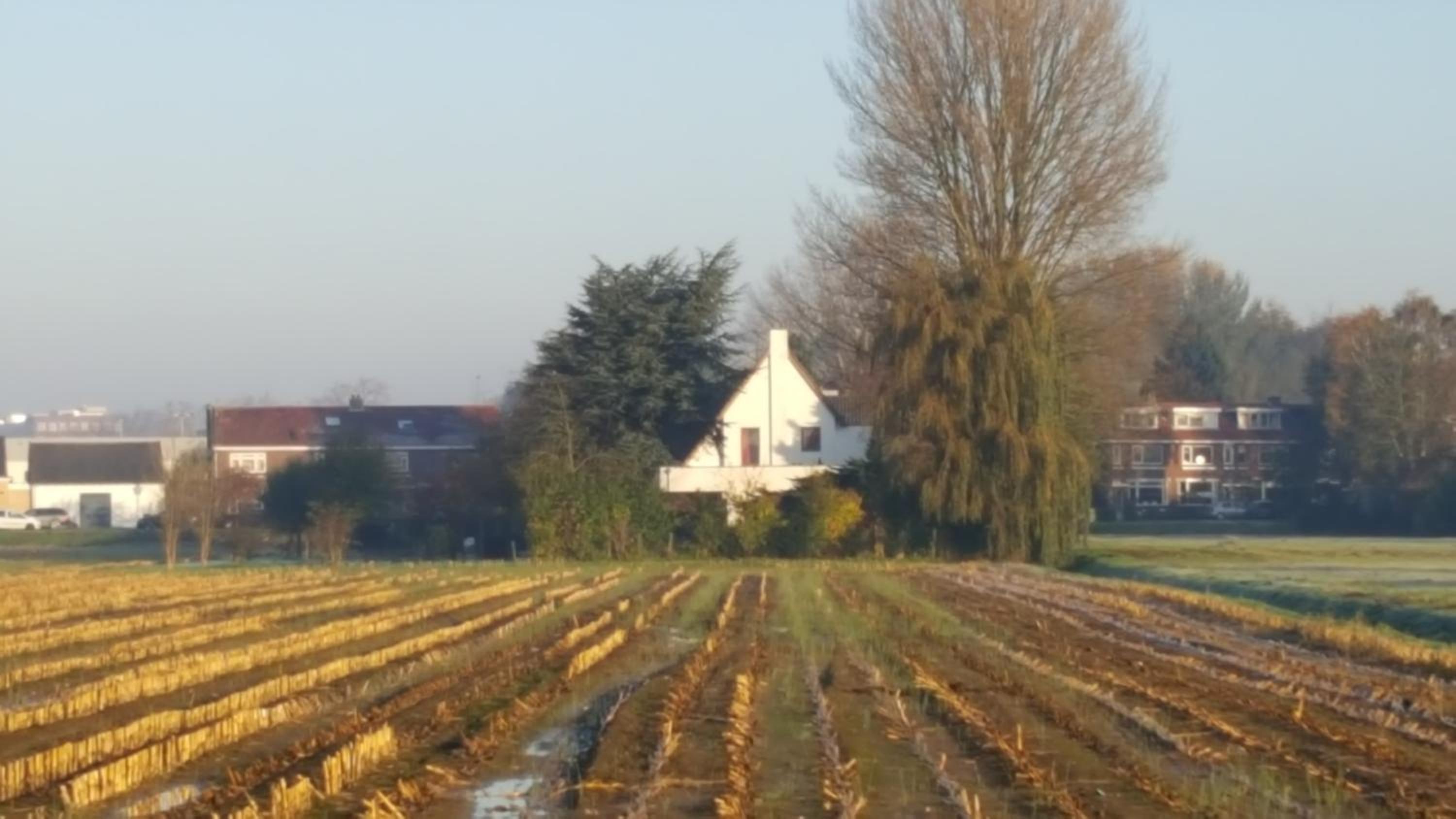 De Gaanderij bed and Breakfast view 5