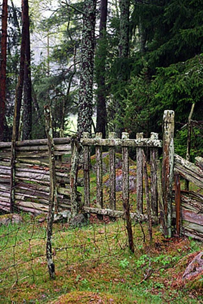 Smultronboda Fårgård