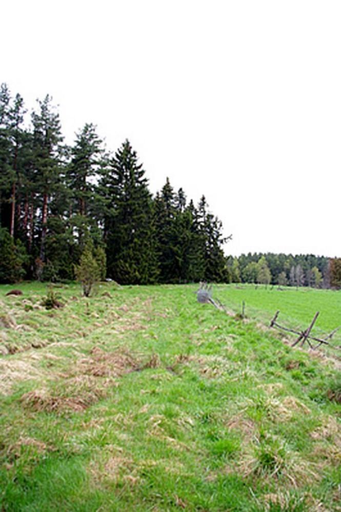 Smultronboda Fårgård