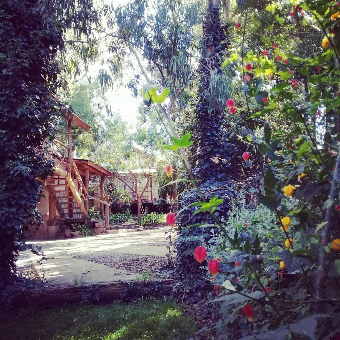 Cabañas Las Moras