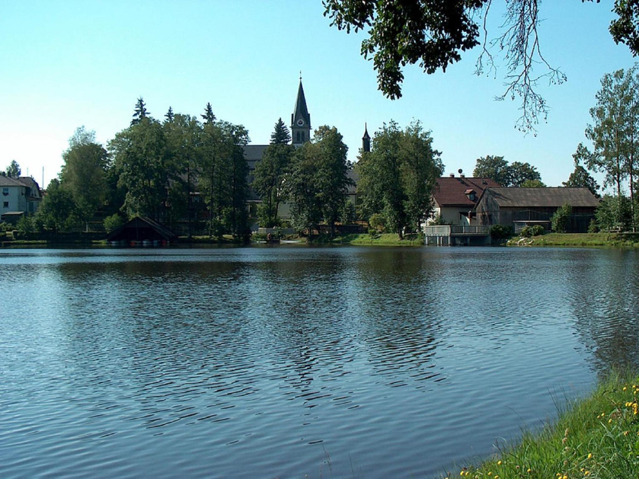 Photo 13