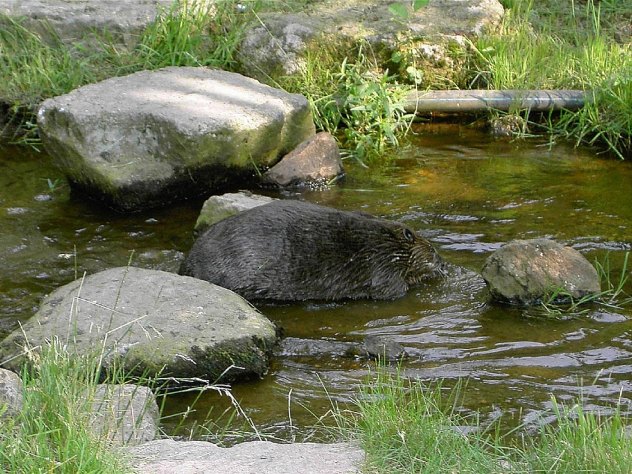 Photo 19