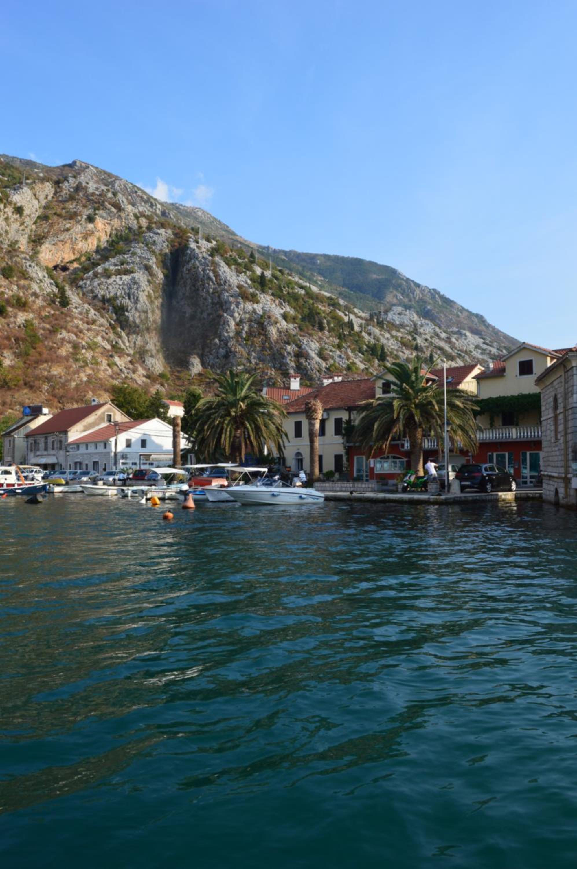 Photo 41