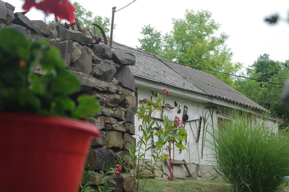 Photo 13