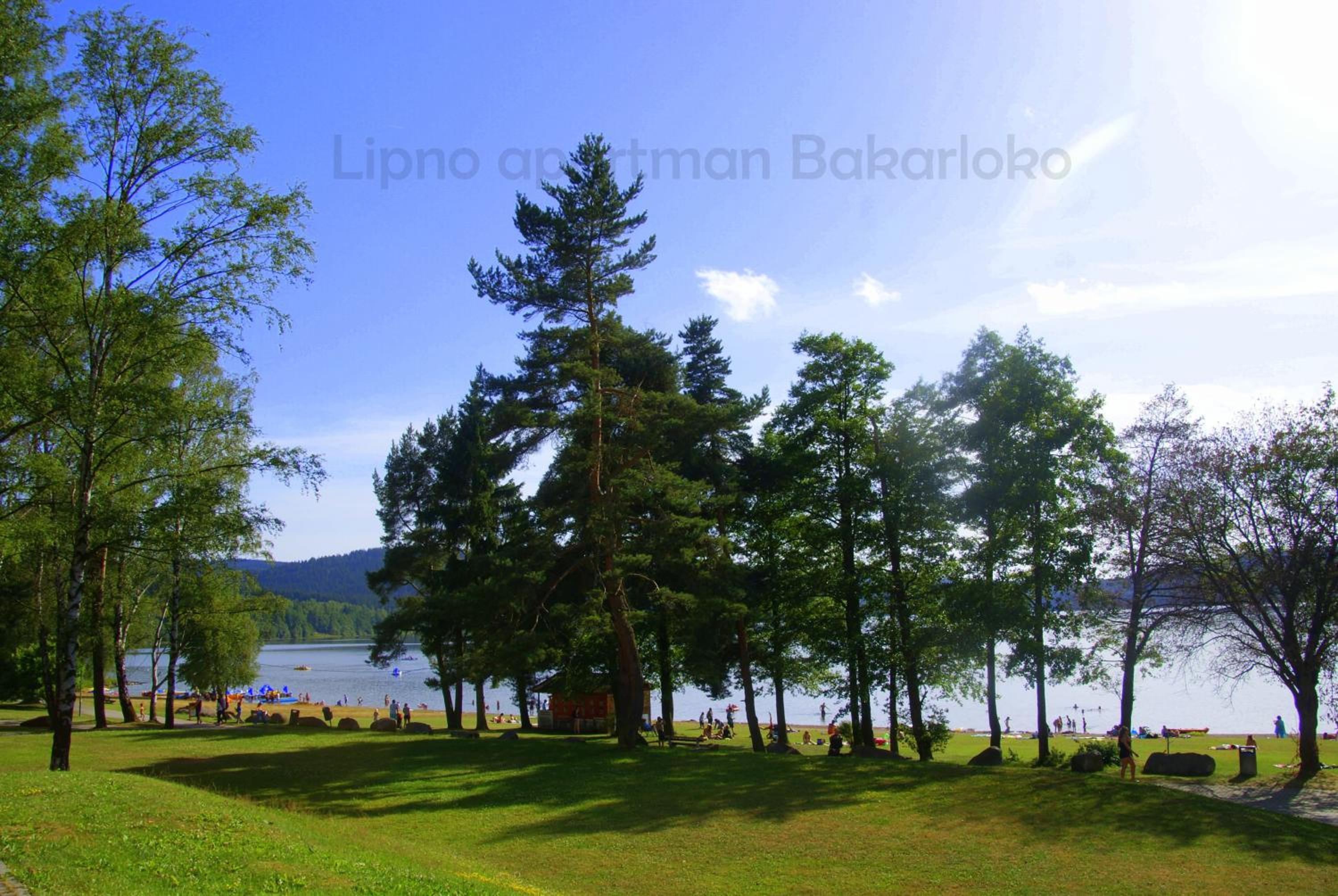 Bakarloko Lipno Apartments