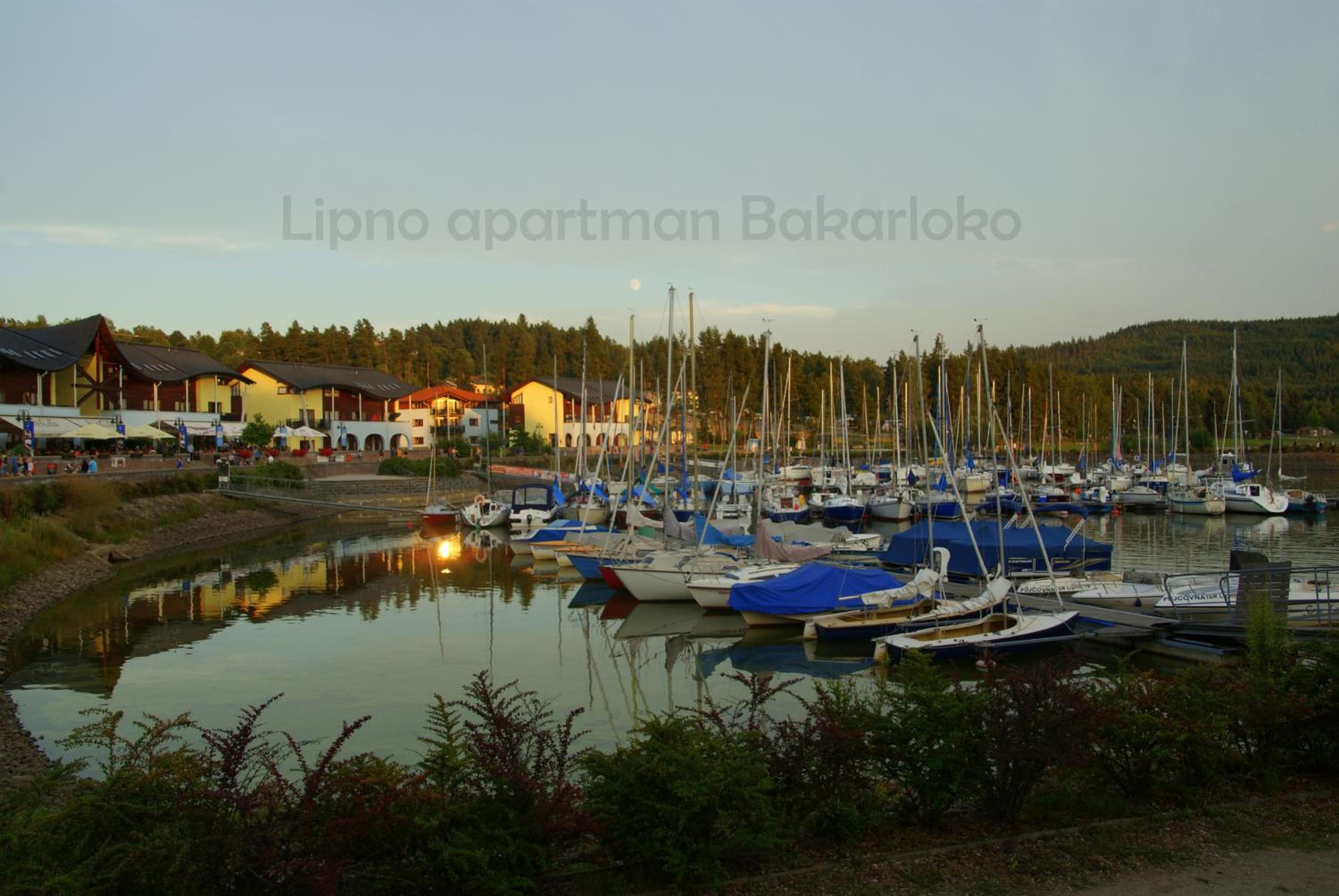 Bakarloko Lipno Apartments