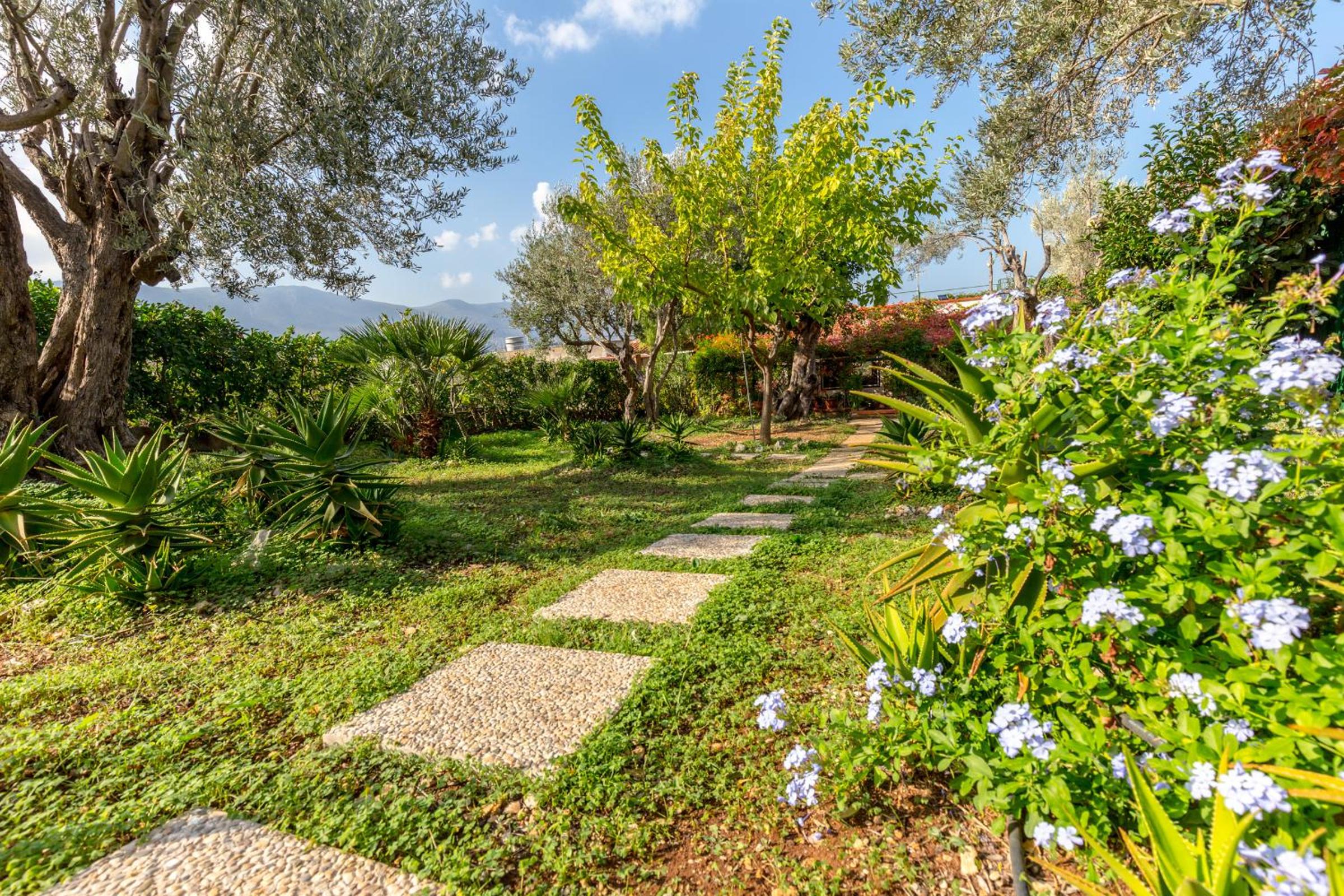 Villa Violetta photo 2