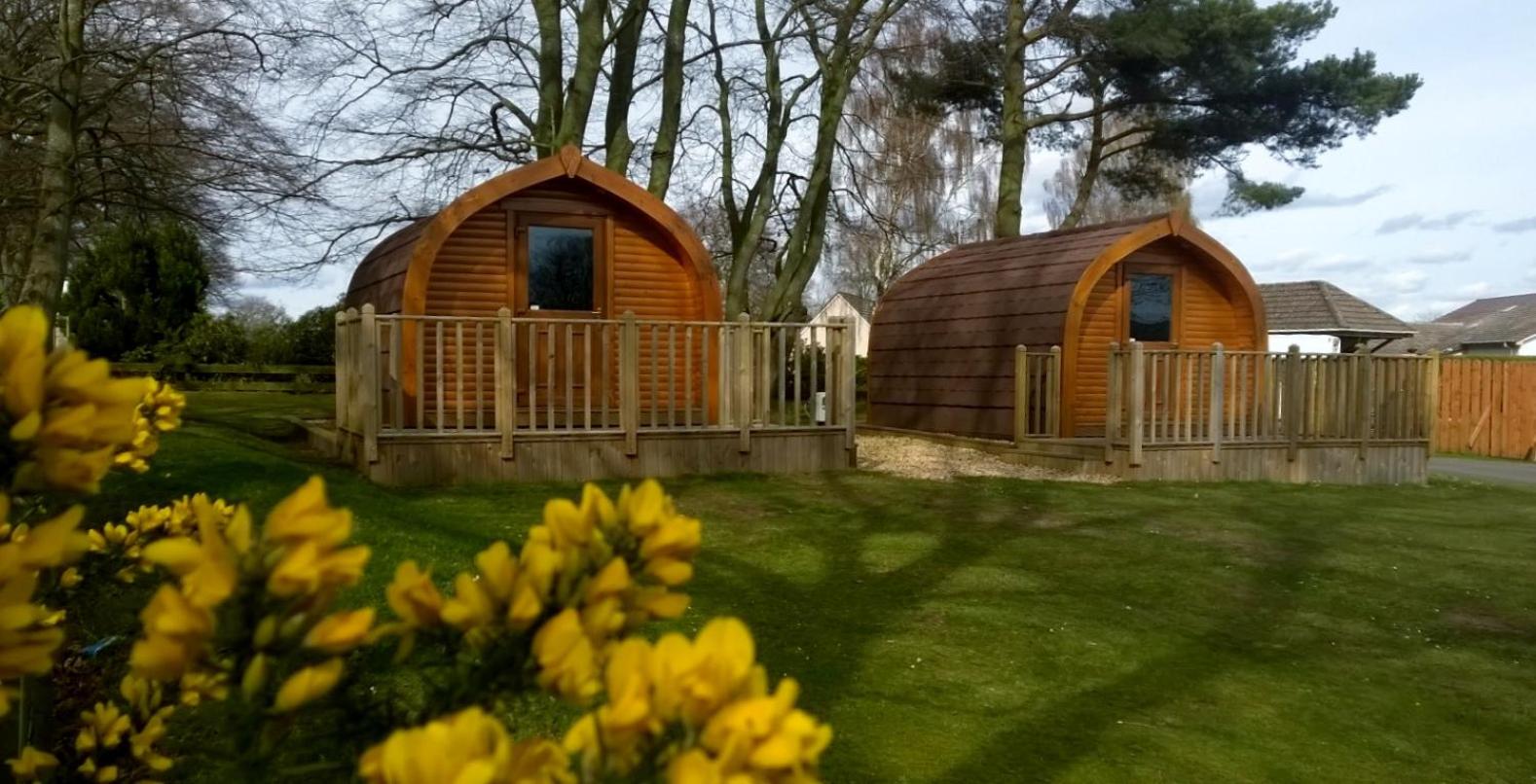 Drumshademuir Caravan & Camping Park view 3