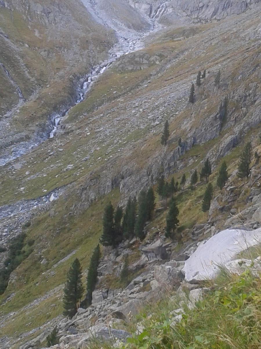 Photo 30