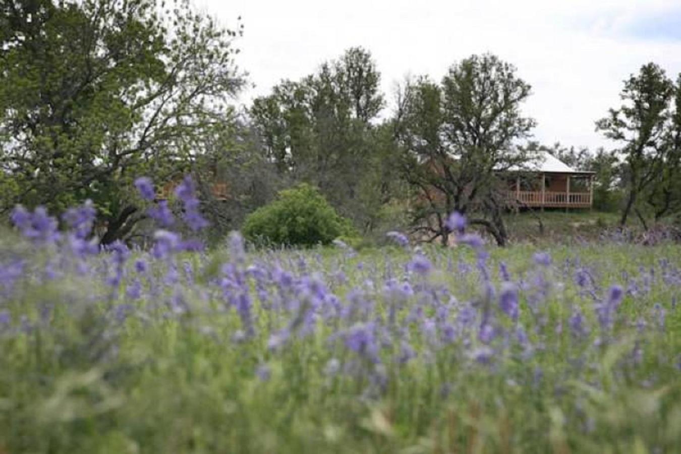 City on a Hill at Spring Creek