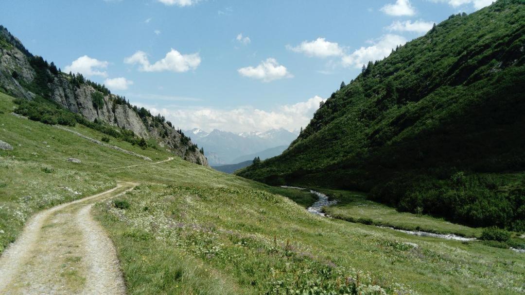 Photo 46