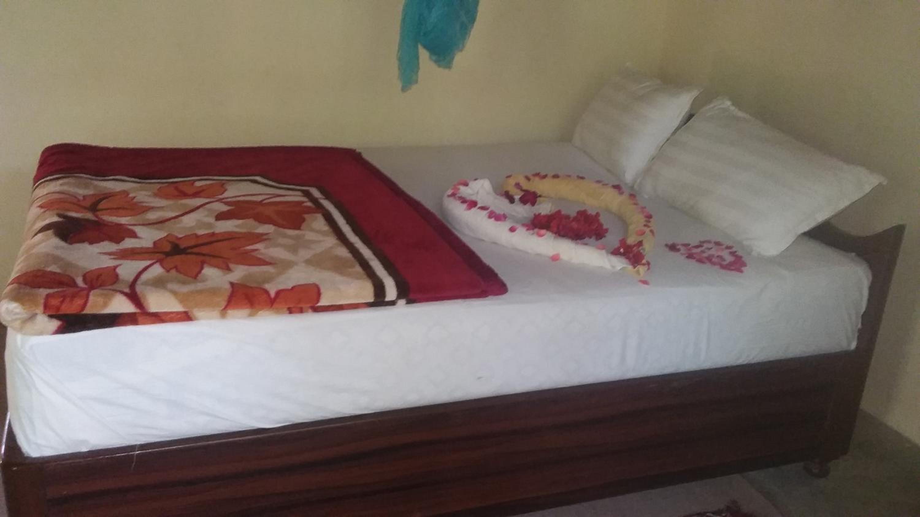 Nature Safari Resort