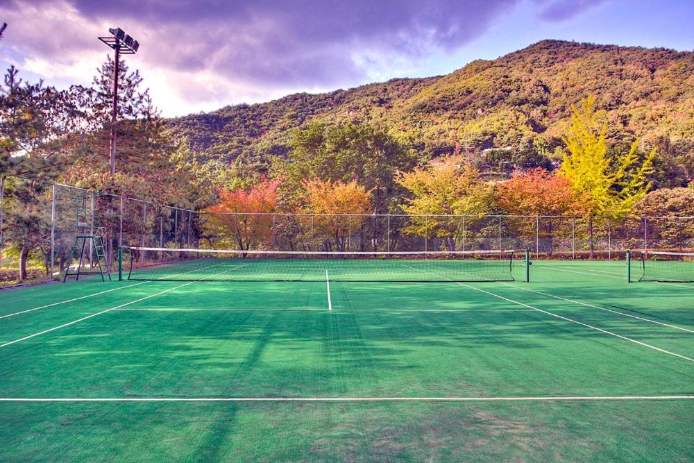 Cheongpung Resort