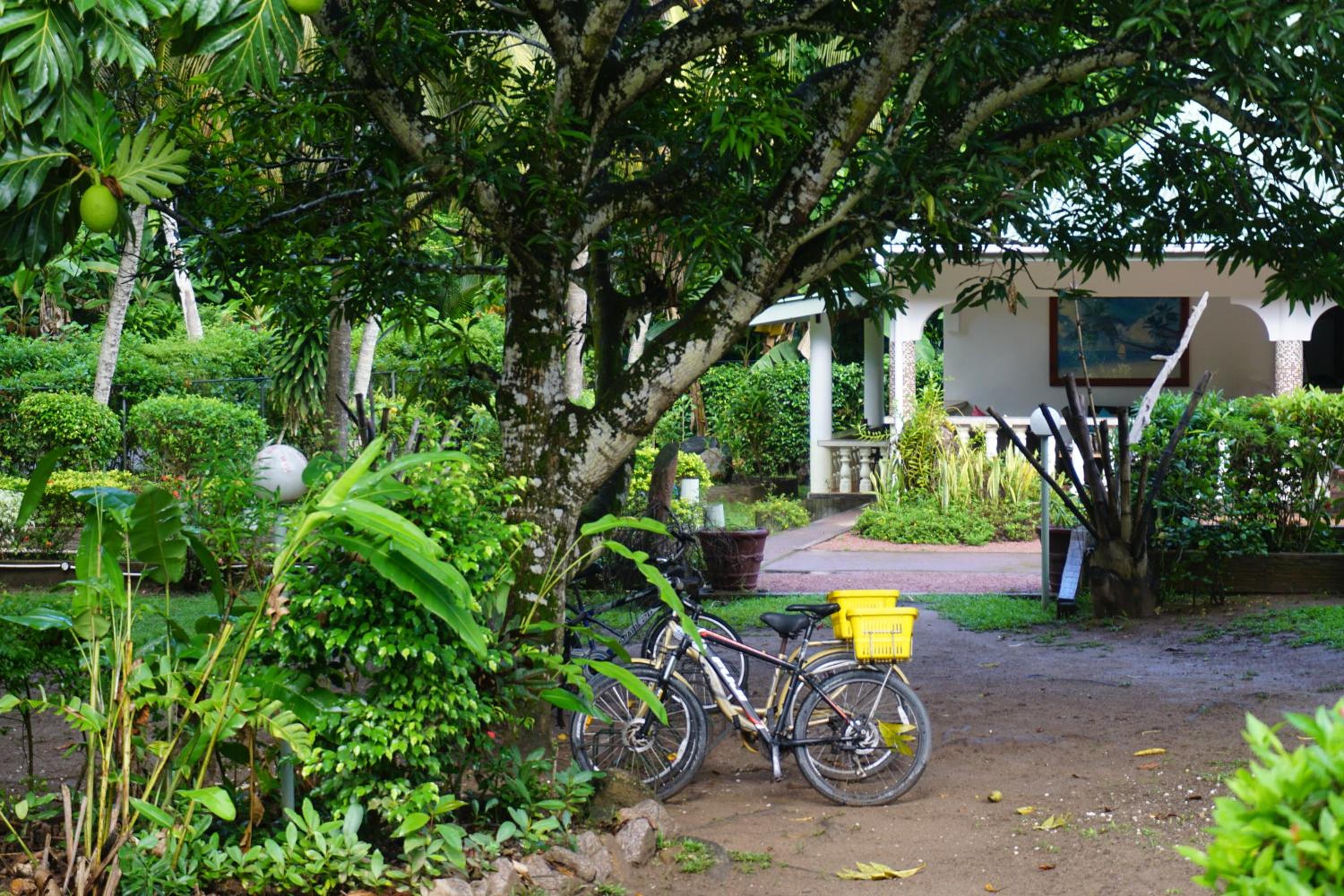 Chalet Bamboo Vert