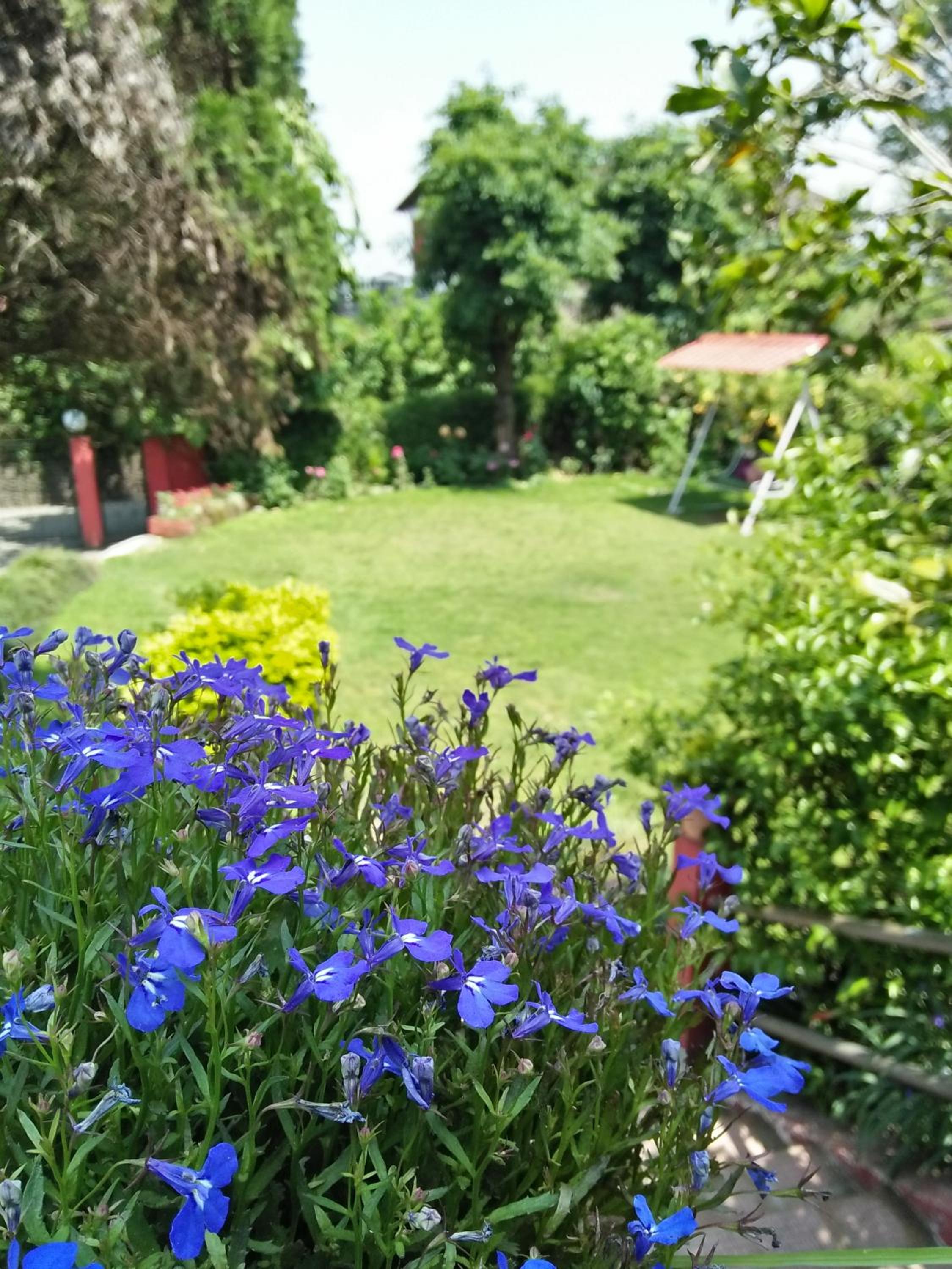 Shikher Guest House