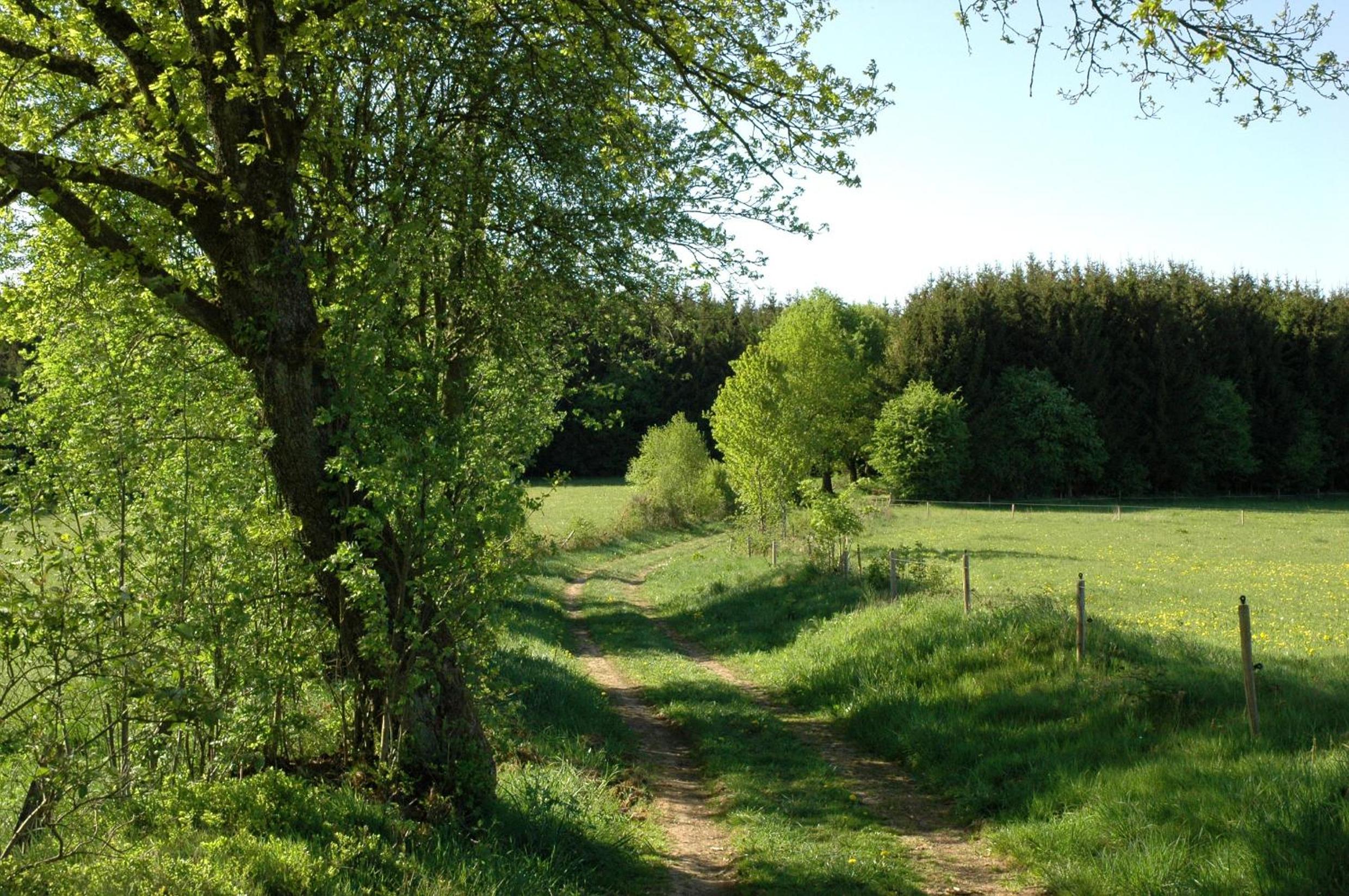 Center Parcs Les Ardennes
