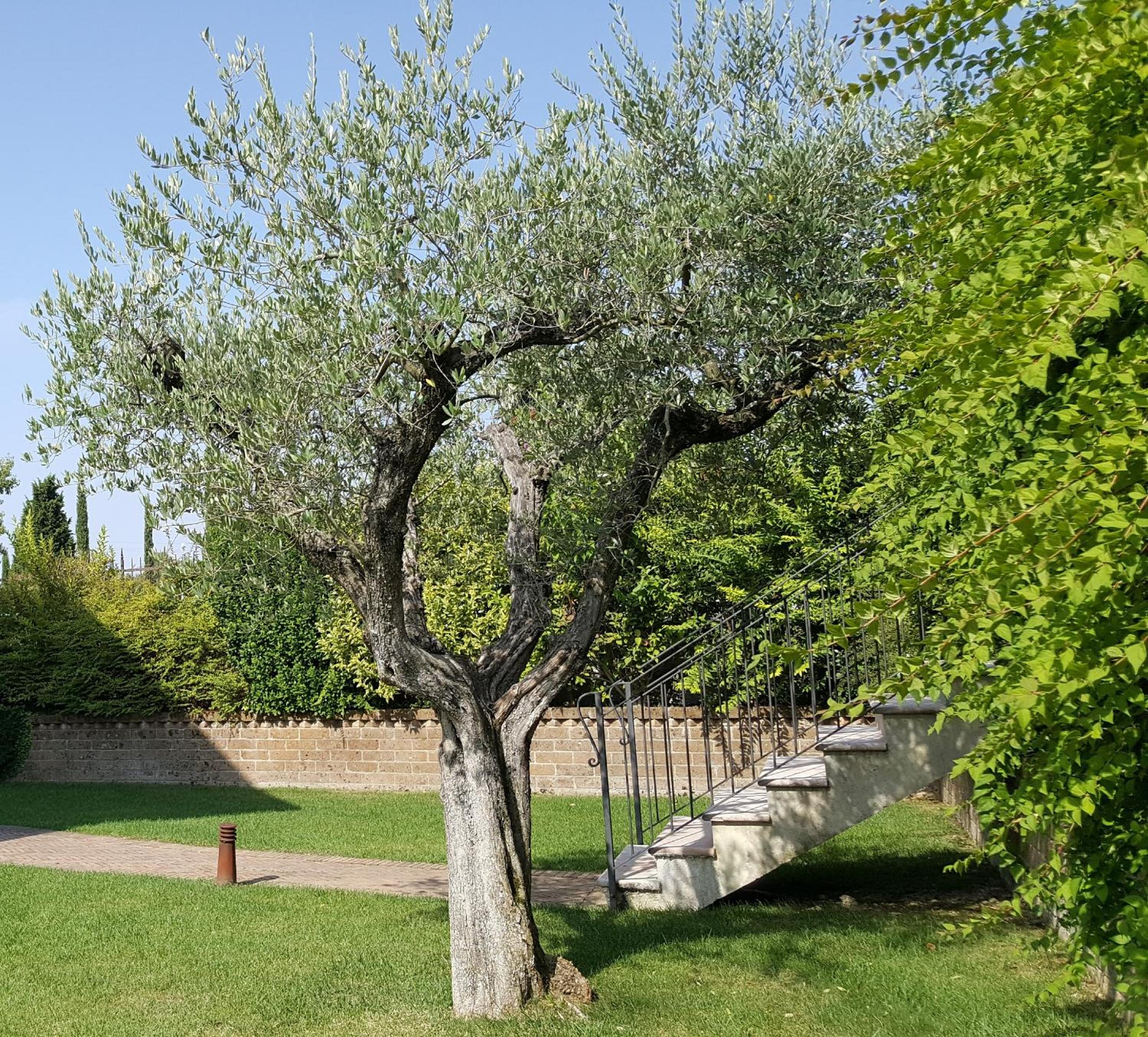 Photo 47