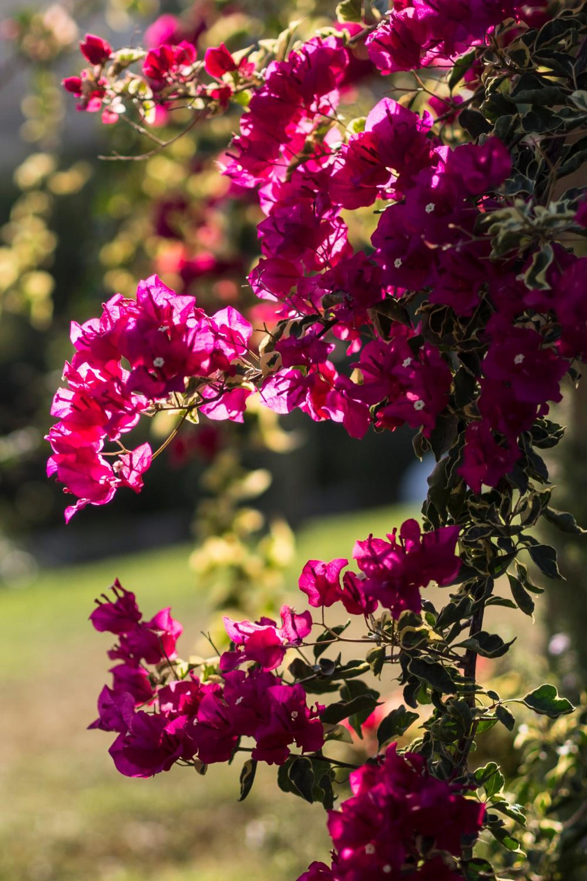 Agriturismo Il Granaio Hotel & SPA