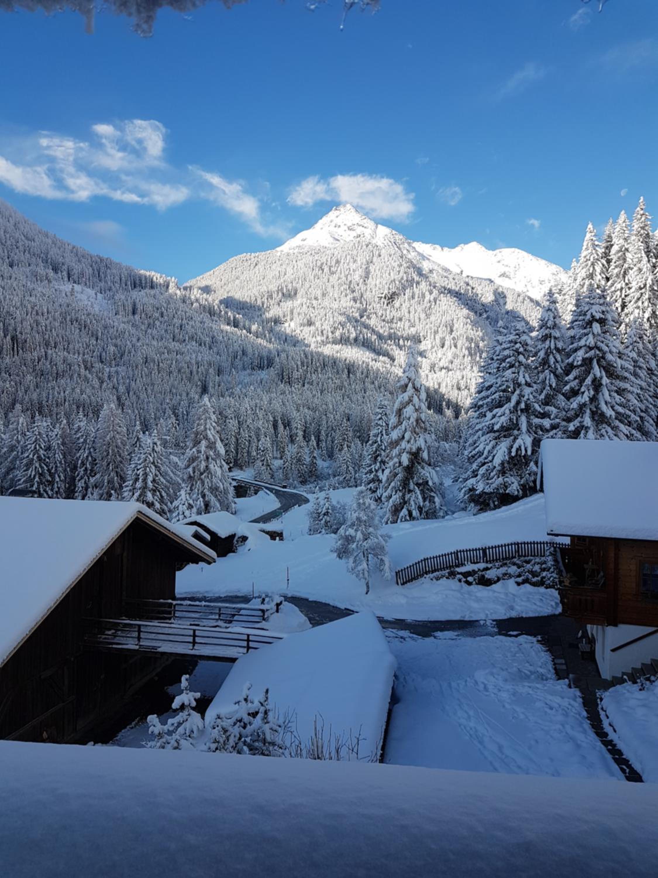 Pension Fürhapter mit Bio- Bauernhof