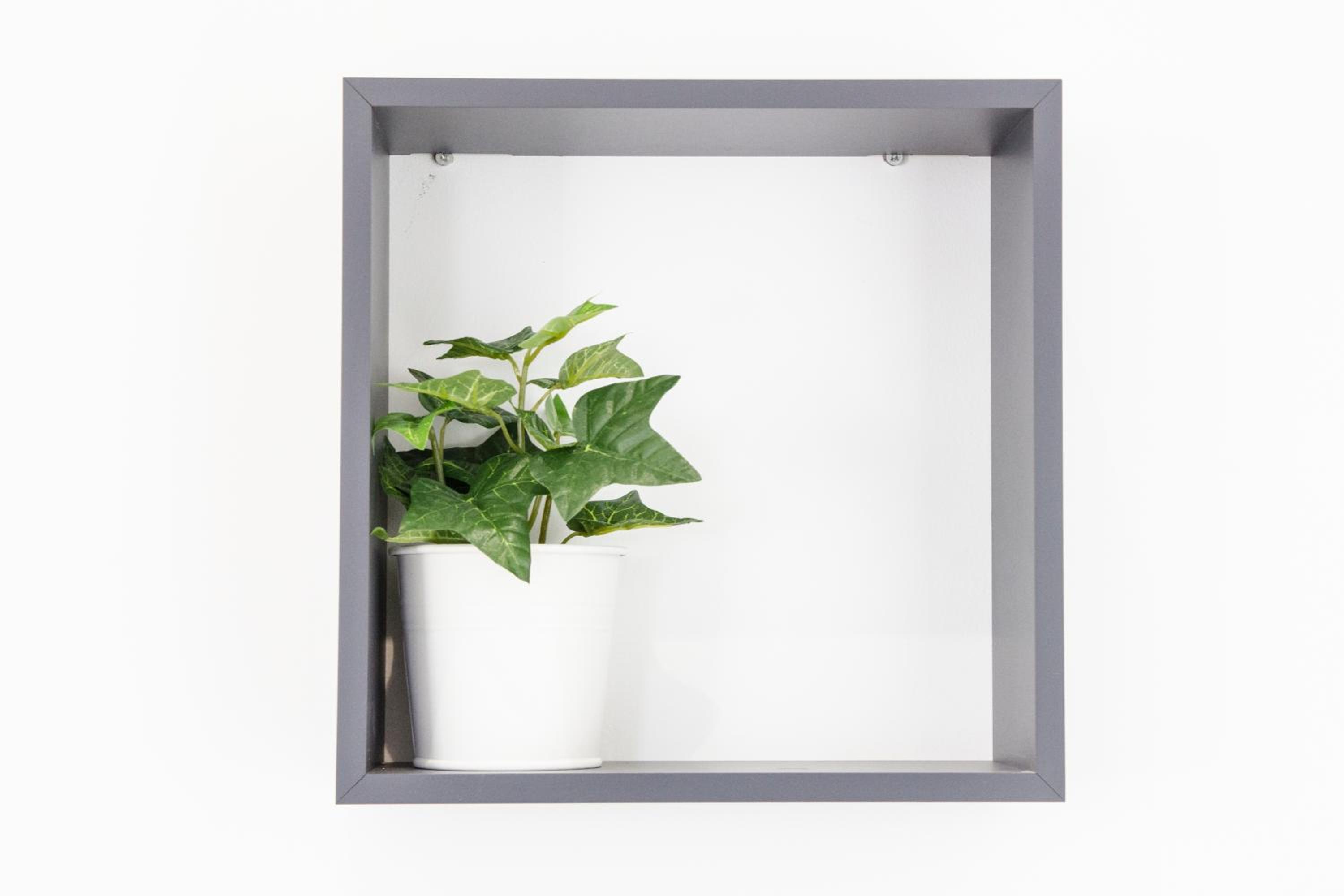Minty Stay - Jose Ortega y Gasset view 2
