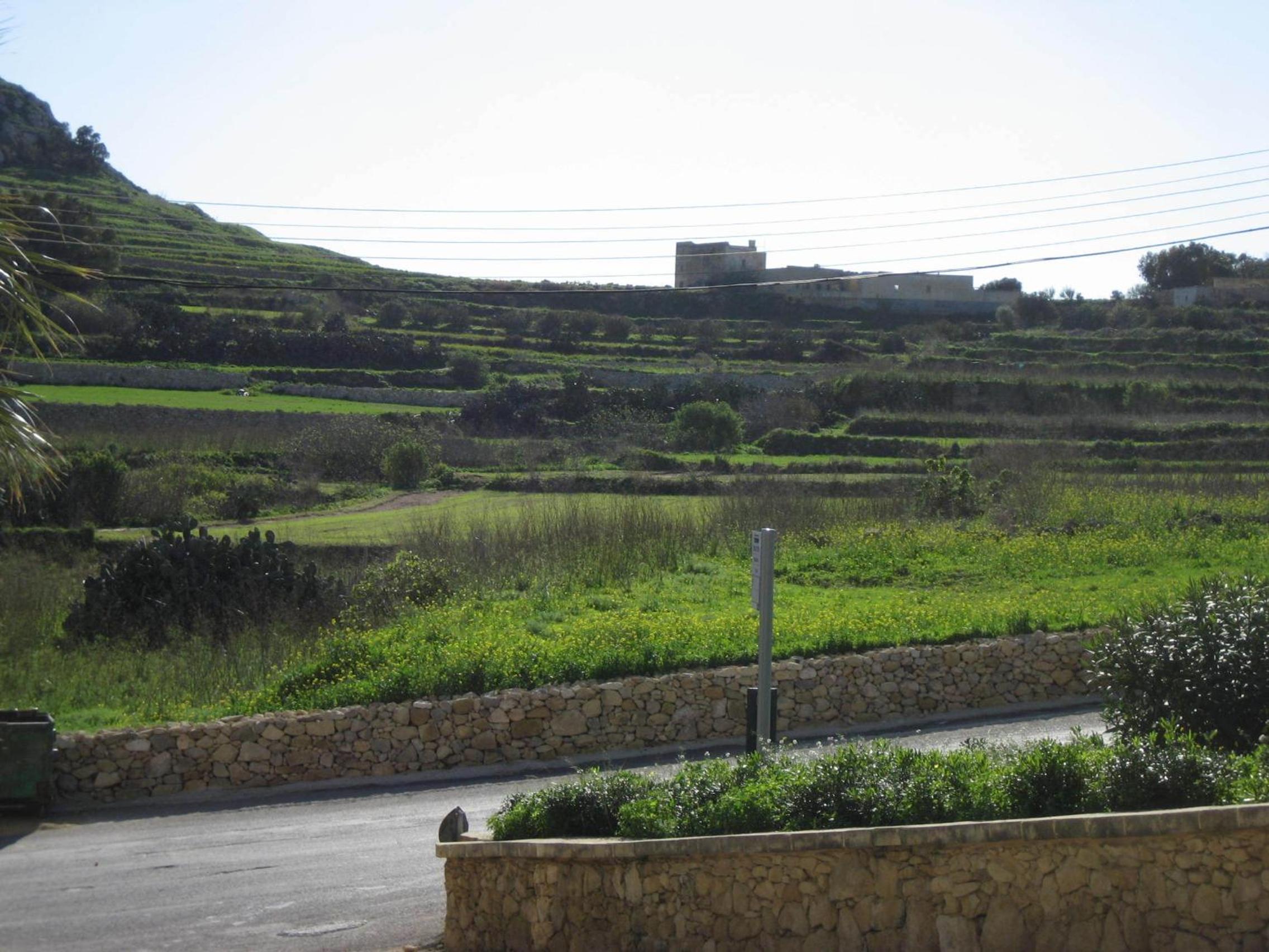 Photo 47