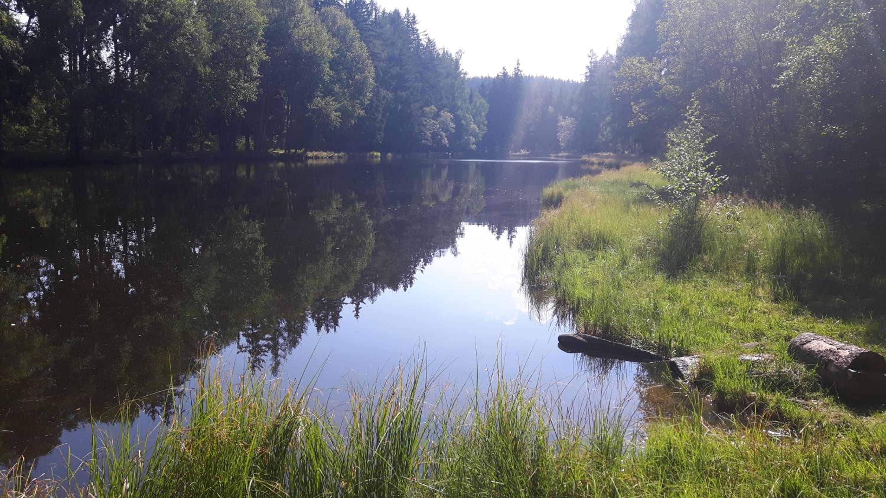 Šumavská Barborka