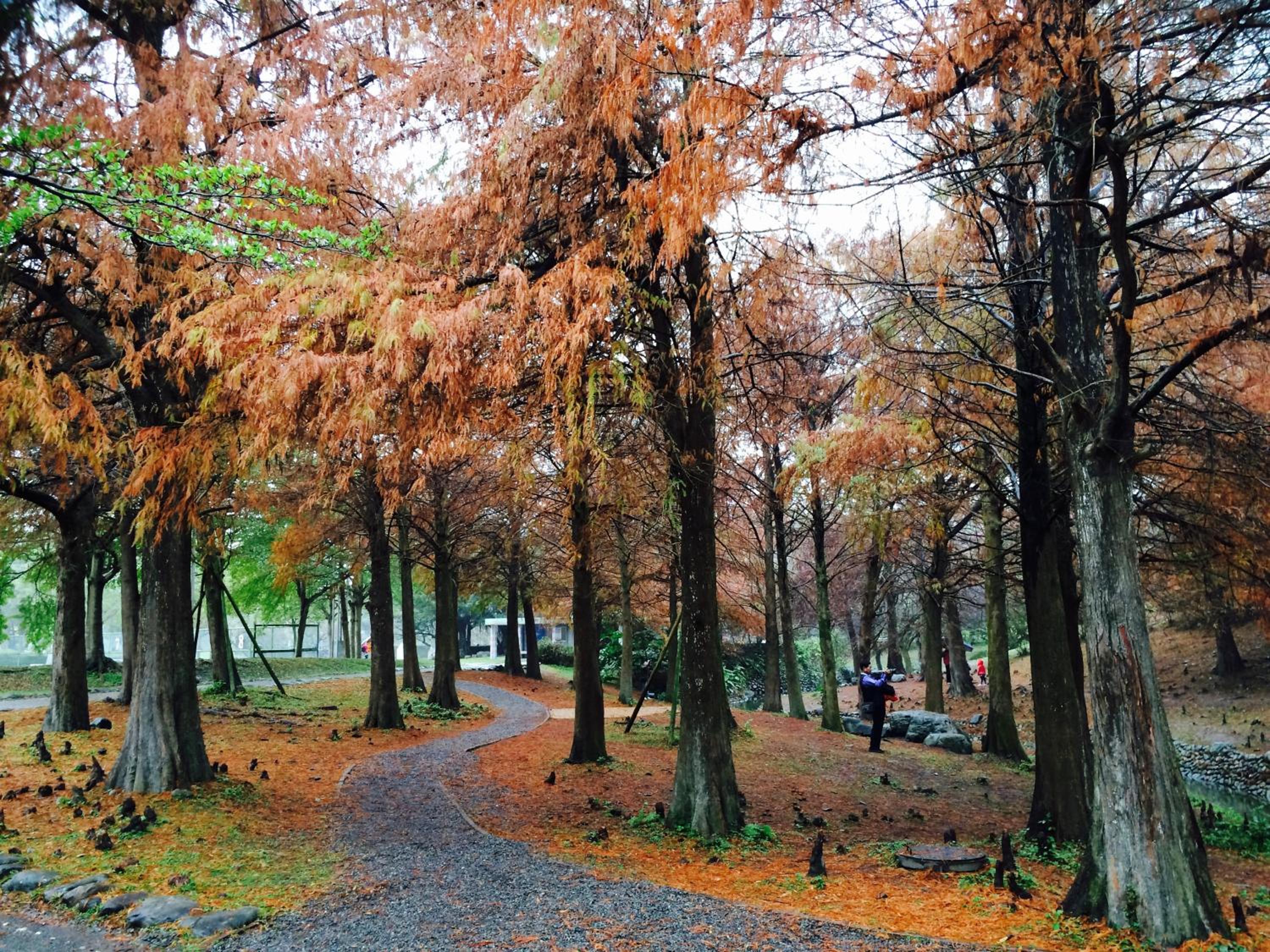 Park 61