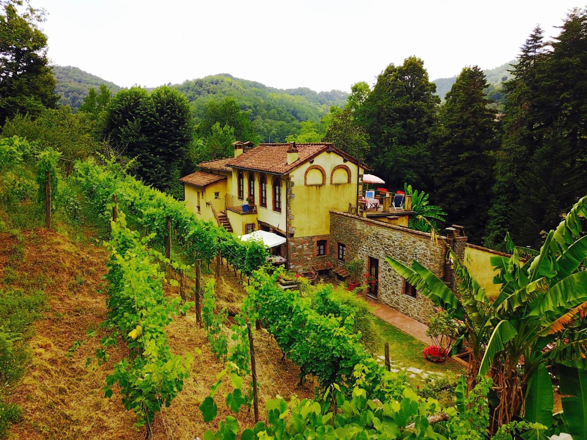 A Casa Del Tosi