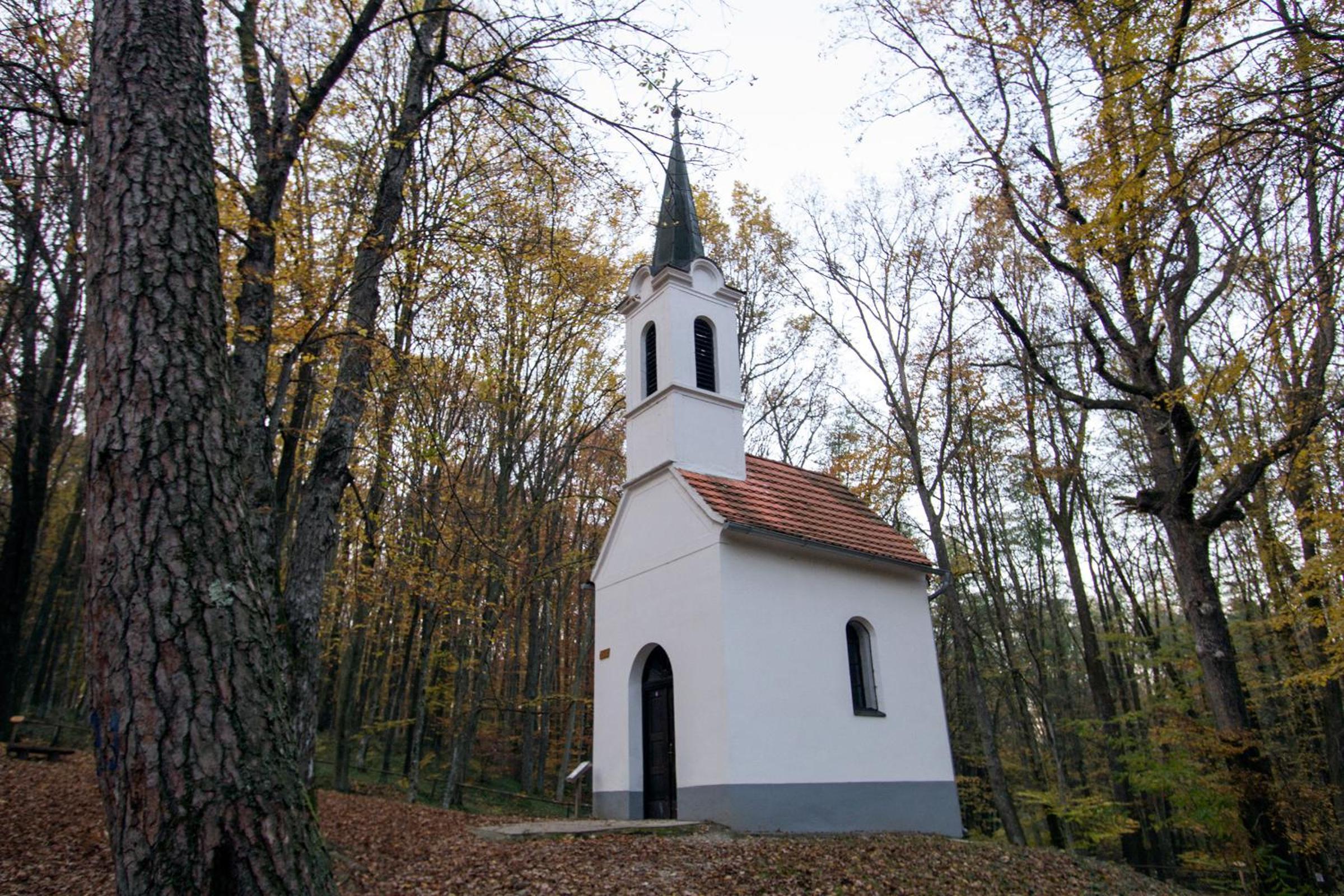 Photo 27