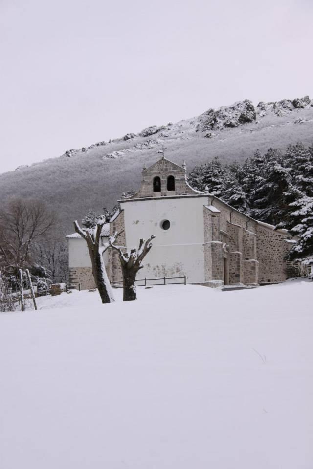 Photo 37